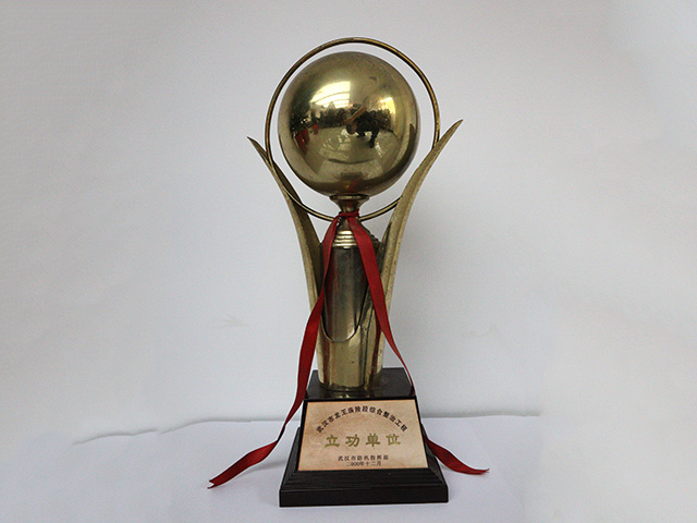 武漢市龍王廟險(xiǎn)段綜合整治工程-立功單位